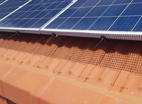solar panel pigeon Proofing Doncaster