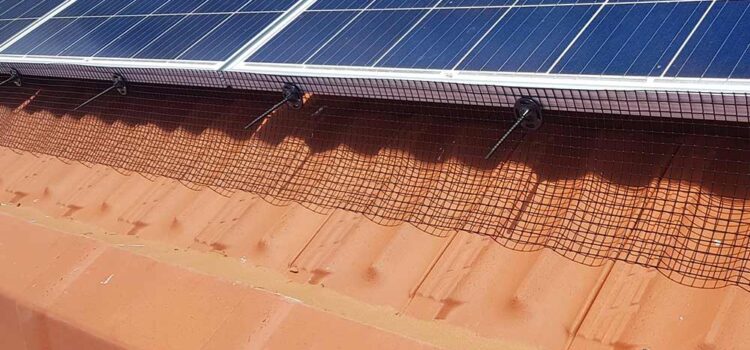 solar panel pigeon Proofing Doncaster