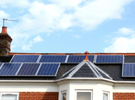 Pigeon Control for Solar Panels in Newcastle upon Tyne