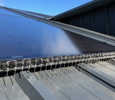 Hebburn Solar Panel Pigeon Control and Proofing Services