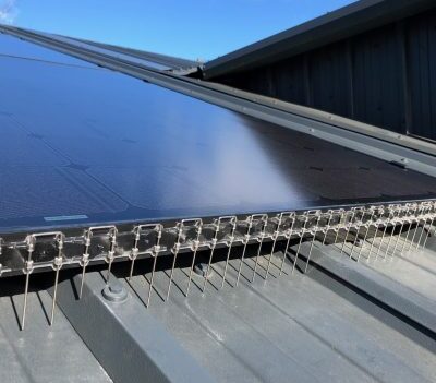 Solar Panel Pigeon Protection Scunthorpe