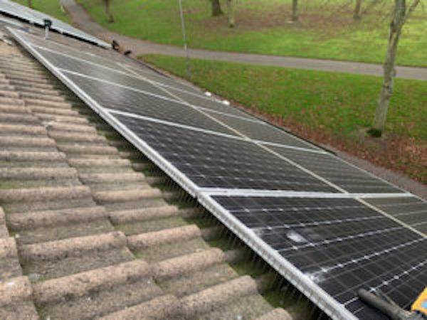 Solar Panel Pigeon Proofing in Glasgow